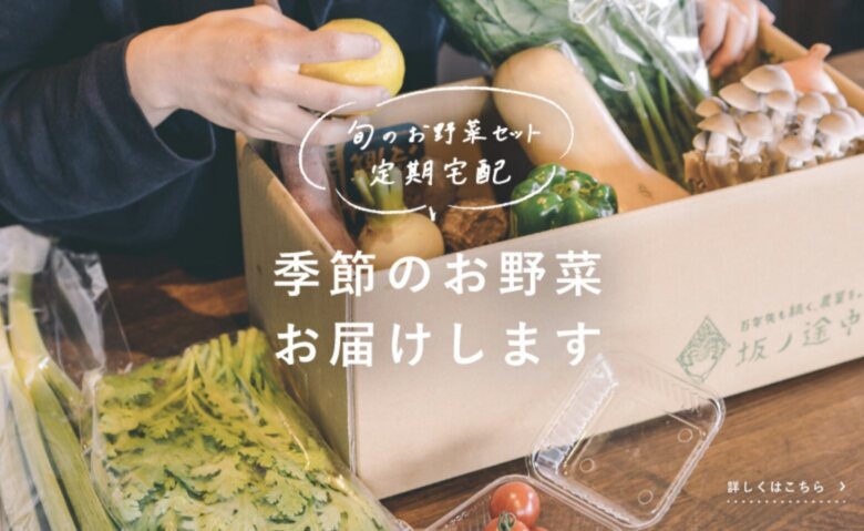 坂ノ途中 旬のお野菜セット