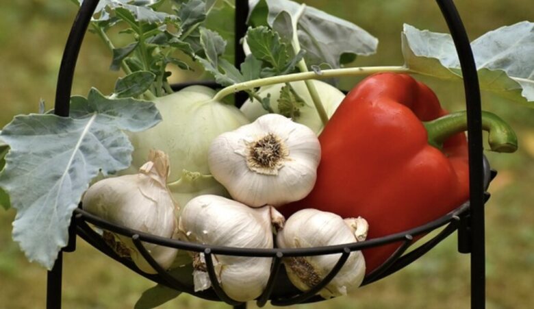 一人暮らしにぴったりの野菜サブスクとは？